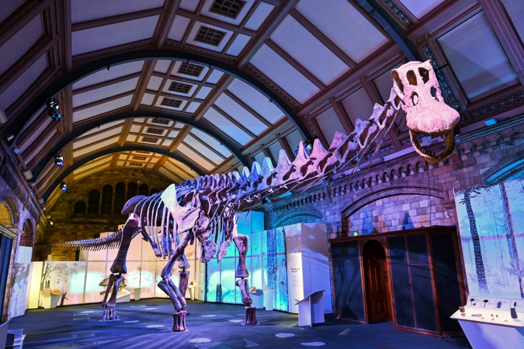 هيكل عظمي جرى صبّه لأحد أكبر الديناصورات معروض في متحف التاريخ الطبيعي في لندن في 28 آذار/مارس 2023 (ا ف ب)