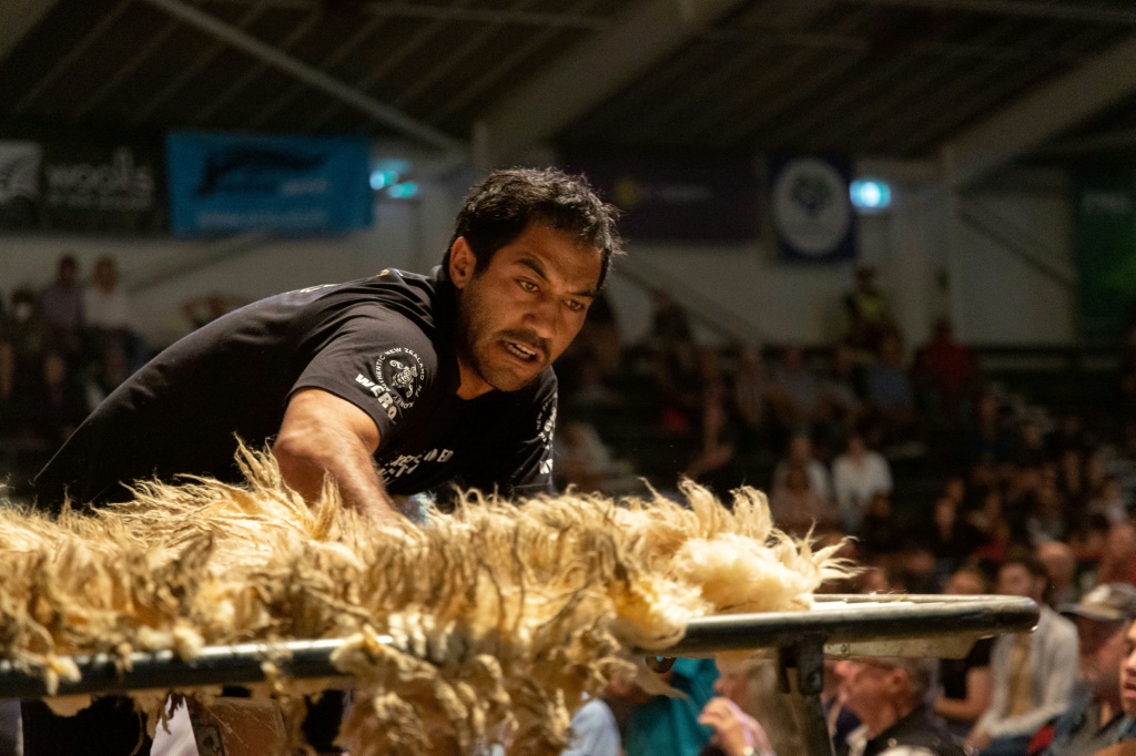 جويل هيناري خلال مسابقة "غولدن شيرز" لجزّ الصوف وفرزه في ماسترتون (نيوزيلندا) في 4 آذار/مارس 2023 (ا ف ب)