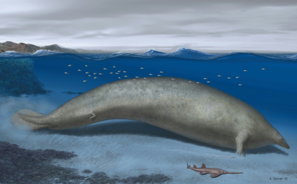 صورة نشرتها مجلة "نيتشر" في الأول من آب/أغسطس 2023 تظهر تجسيداً فنياً لحوت "بيريكتوس كولوسوس" المكتشف حديثاً في البيرو (ا ف ب)