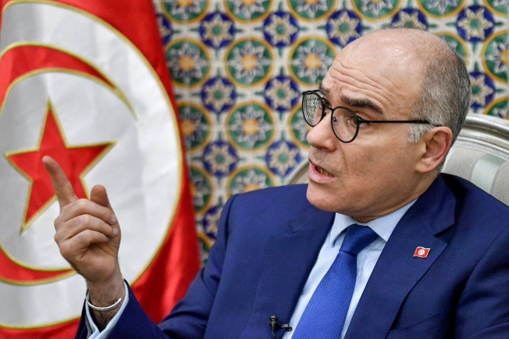 وزير الخارجية التونسي، نبيل عمار (أ ف ب)