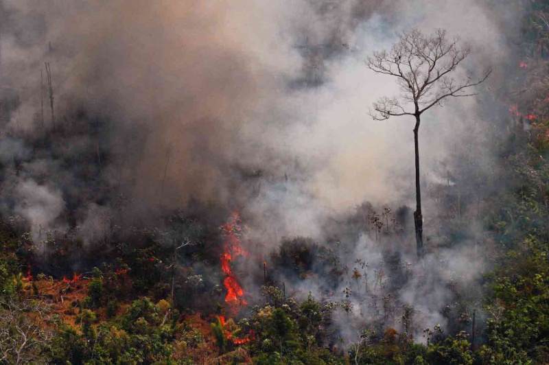 ناسا دخان حرائق الغابات سيلف العالم شبكة الأمة برس
