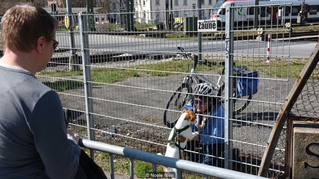 منذ تفشي جائحة كورونا، يلتقي أندريا وبراسيل عدة مرات في الأسبوع على الحدود السويسرية الألمانية المغلقة مع كلبهم نيرو