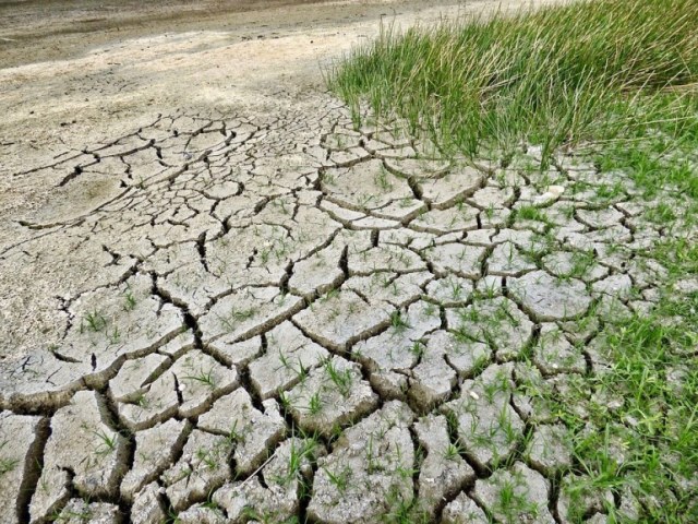 تدهور الأراضي والجفاف من بين أخطر مظاهر التغيرات المناخية