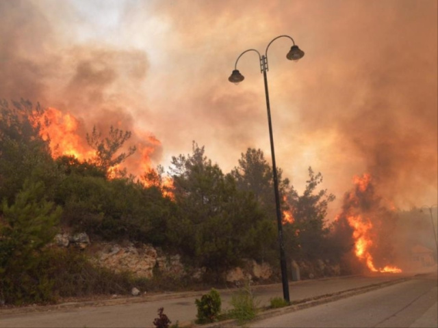 سلسلة من الحرائق اجتاحت الغابات في عدة مناطق خلال 2019 وبدايات 2020