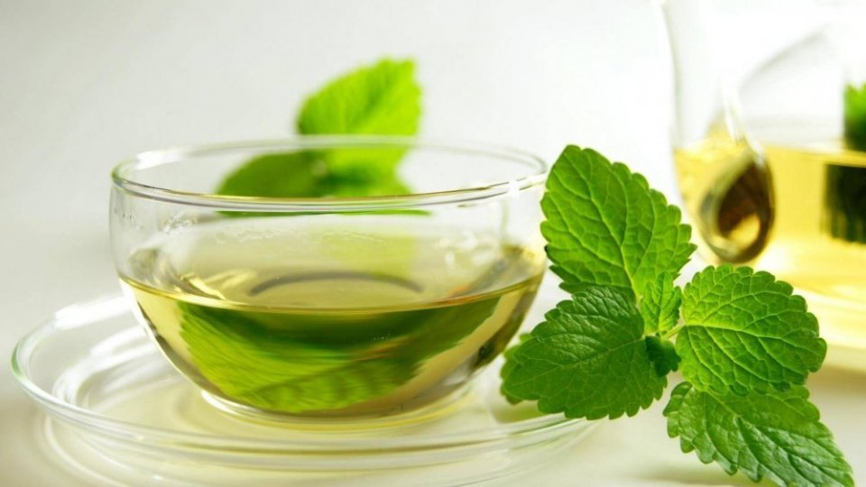 فوائد الشاي الأخضر المذهلة للبشرة والوجه شبكة الأمة برس