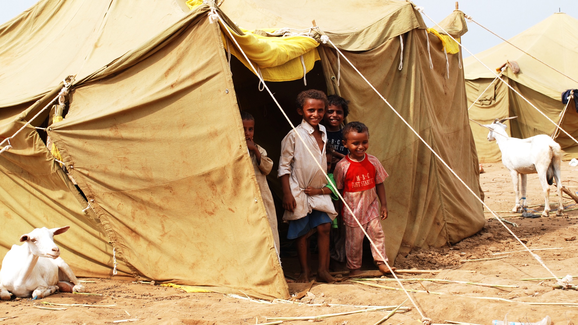 الأمم المتحدة: نزوح مايقارب 33 ألف يمني منذ بداية العام