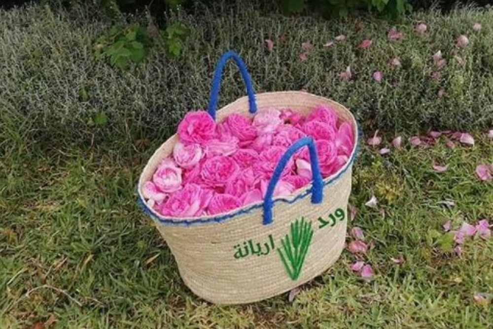 "أريانة تتنفس ورد" شعار الدورة الـ25 لمهرجان الورود في تونس.
