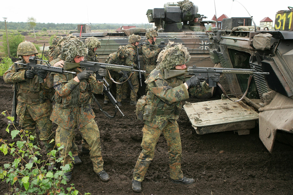جنود الجيش الألماني مسلحون ببنادق G3A3A1 و G36 في عام 2010/ wikimedia commons