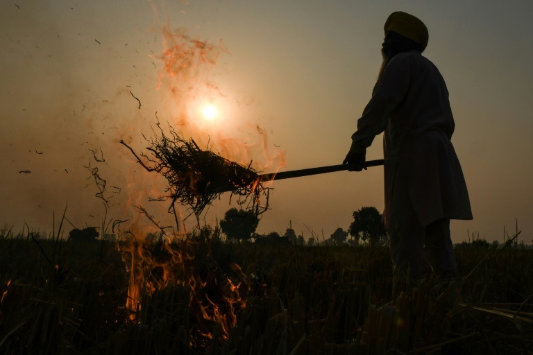 مزارعون هنود يحرقون القش إثر حصاد الأرزّ في حقول قريبة من العاصمة نيودلهي في نوفمبر 2021( ا ف ب)