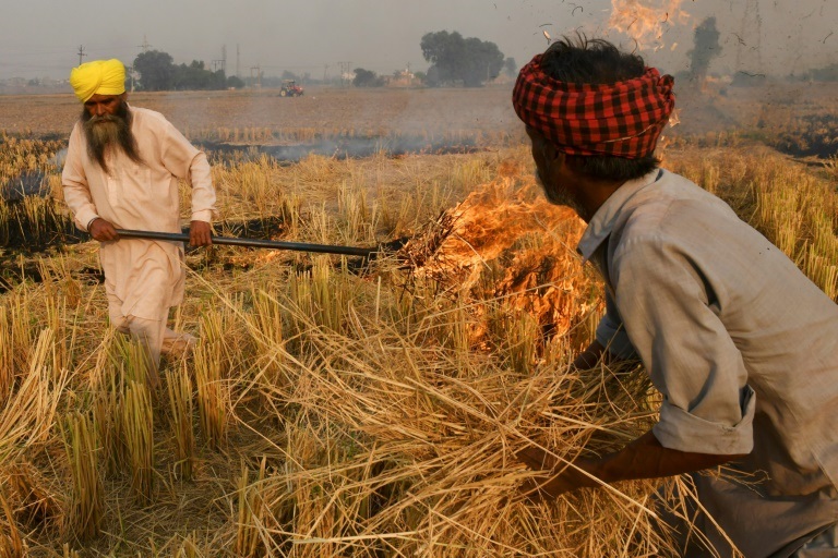 مزارعون هنود يحرقون القش إثر حصاد الأرزّ في حقول قريبة من العاصمة نيودلهي في نوفمبر 2021( ا ف ب)