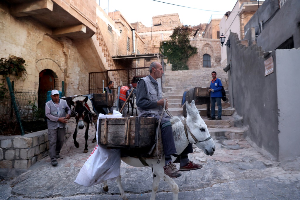 وضع موسيقى كلاسكية أو الحان تقليدية في اسطبلات الحمير (ا ف ب)