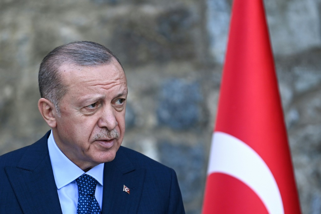 الرئيس التركي رجب طيب اردوغان (أ ف ب)