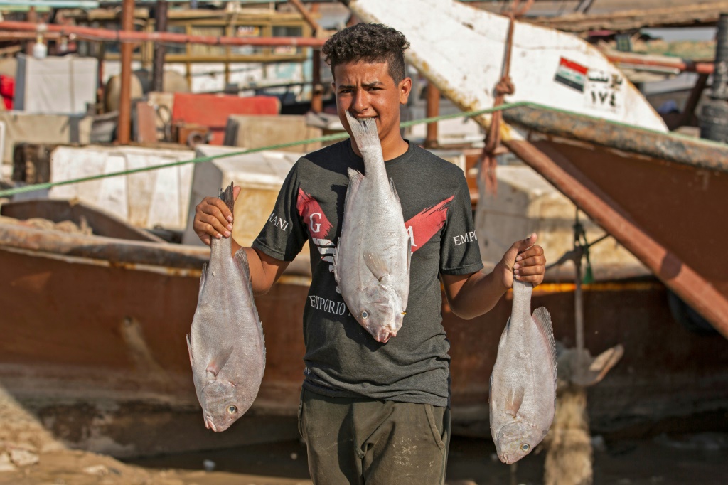    عراقي يحمل أسماكا اصطادها في ميناء الفاو بتاريخ 26 تشرين الأول/أكتوبر 2021 (أ ف ب)