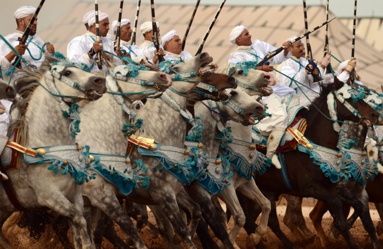 عرض فروسية خلال معرض الحصان التاسع في الجديدة في الغرب في 12 تشرين الأول/أكتوبر 2016 (ا ف ب)
