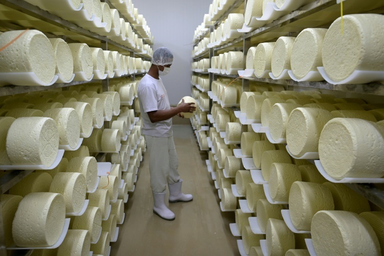 أحد مصانع الأجبان في بلدة ألاغوا الريفية في ولاية ميناس جيرايس بجنوب البرازيل (ا ف ب)