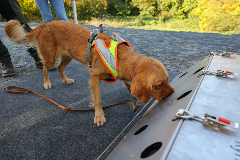 الكلب "ويسبر" يتدرّب على معرفة رائحة الحيوانات المحمية باستخدام تقنية صندوق الروائح في فرانكفورت بألمانيا في 26 تشرين الأول/ديسمبر 2021 ( ا ف ب)