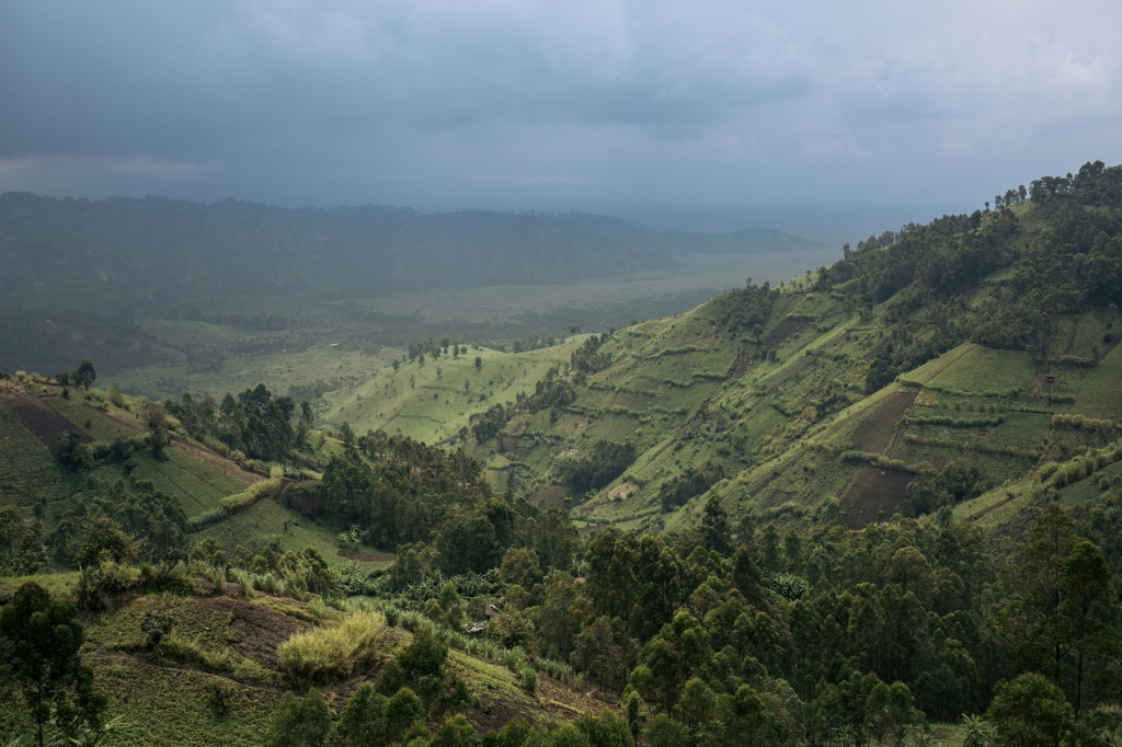 مساحات مزروعة قرب متنزه فيرونغا في شمال شرق جمهورية الكونغو الديموقراطية في 28 أيلول/سبتمبر 2019(ا ف ب)