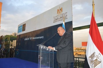 وزير الخارجية المصري سامح شكري ( موقع الخارجية المصرية)