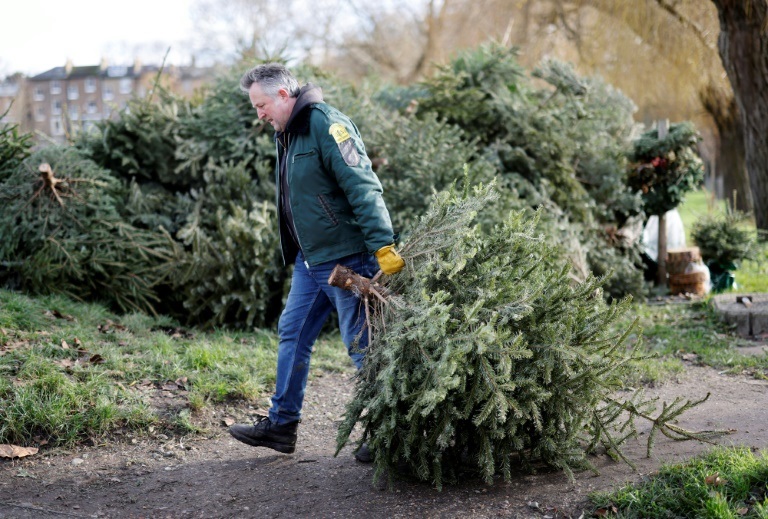 رجل يجمع أشجار الميلاد في كنتيش تاون بلندن في 7 كانون الثاني/يناير 2022 (ا ف ب)
