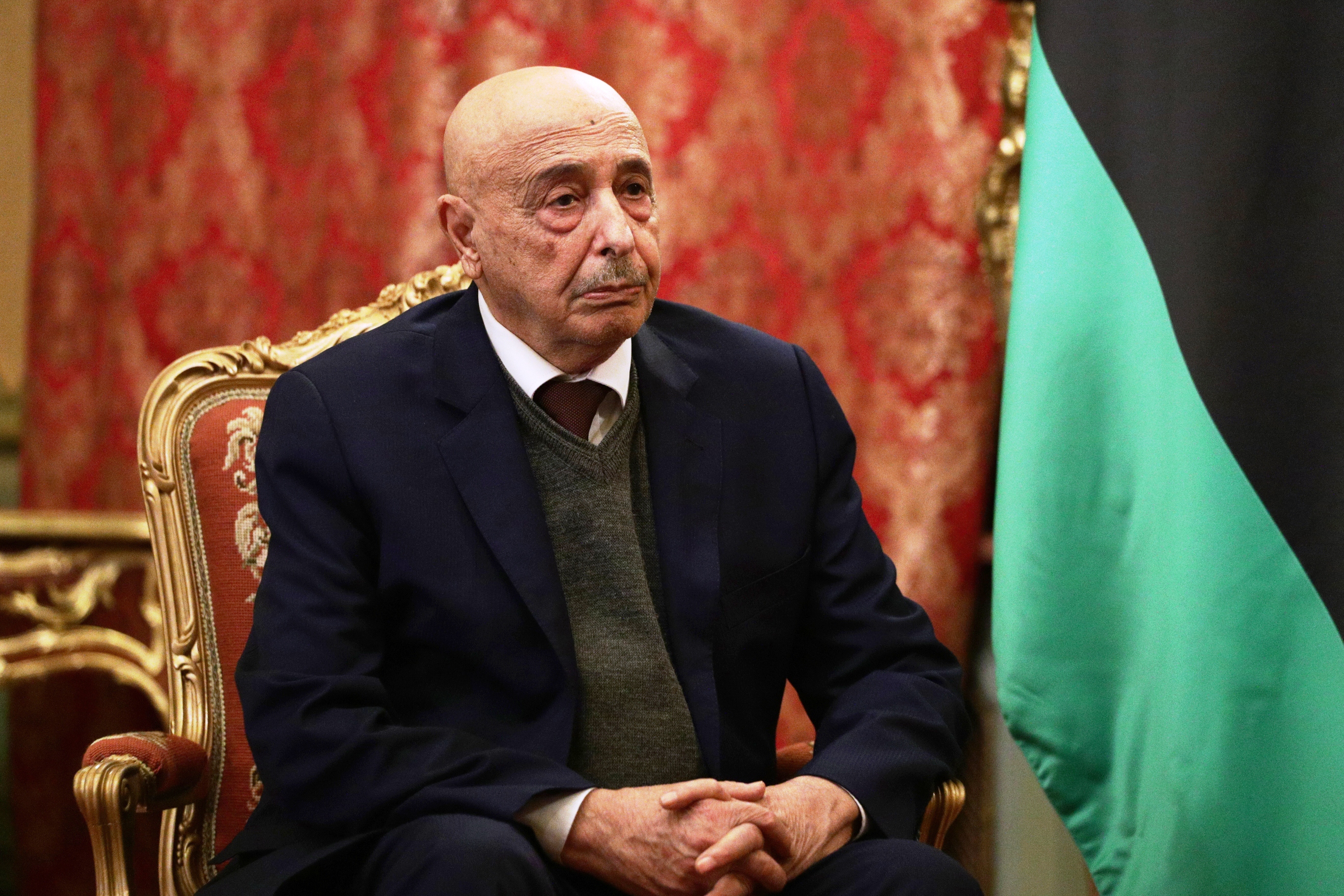 رئيس البرلمان الليبي عقيلة صالح (د ب أ)