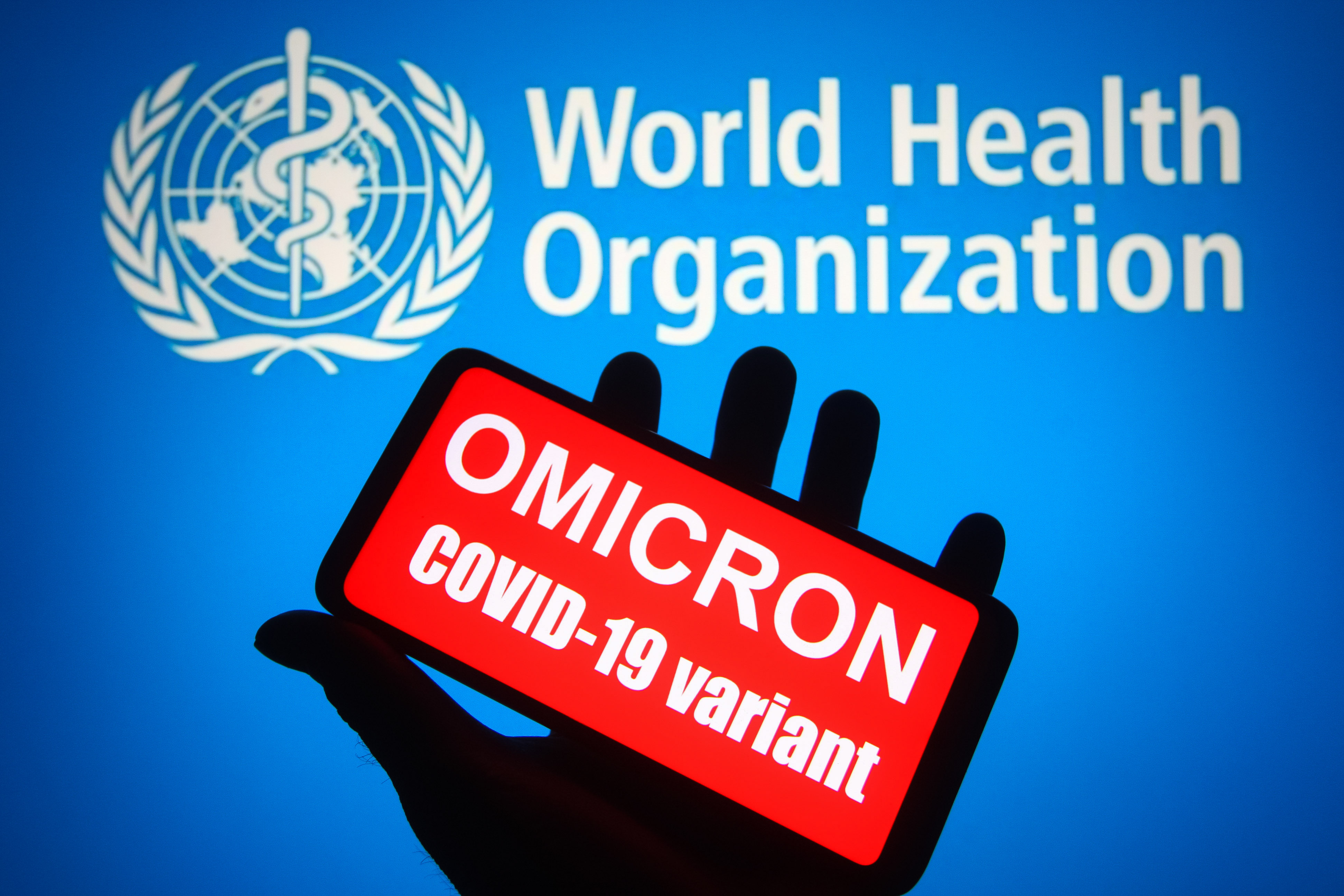 عرض متغير Omicron COVID-19 على شاشة الهاتف المحمول أمام شعار منظمة الصحة العالمية (WHO)(د ب أ)