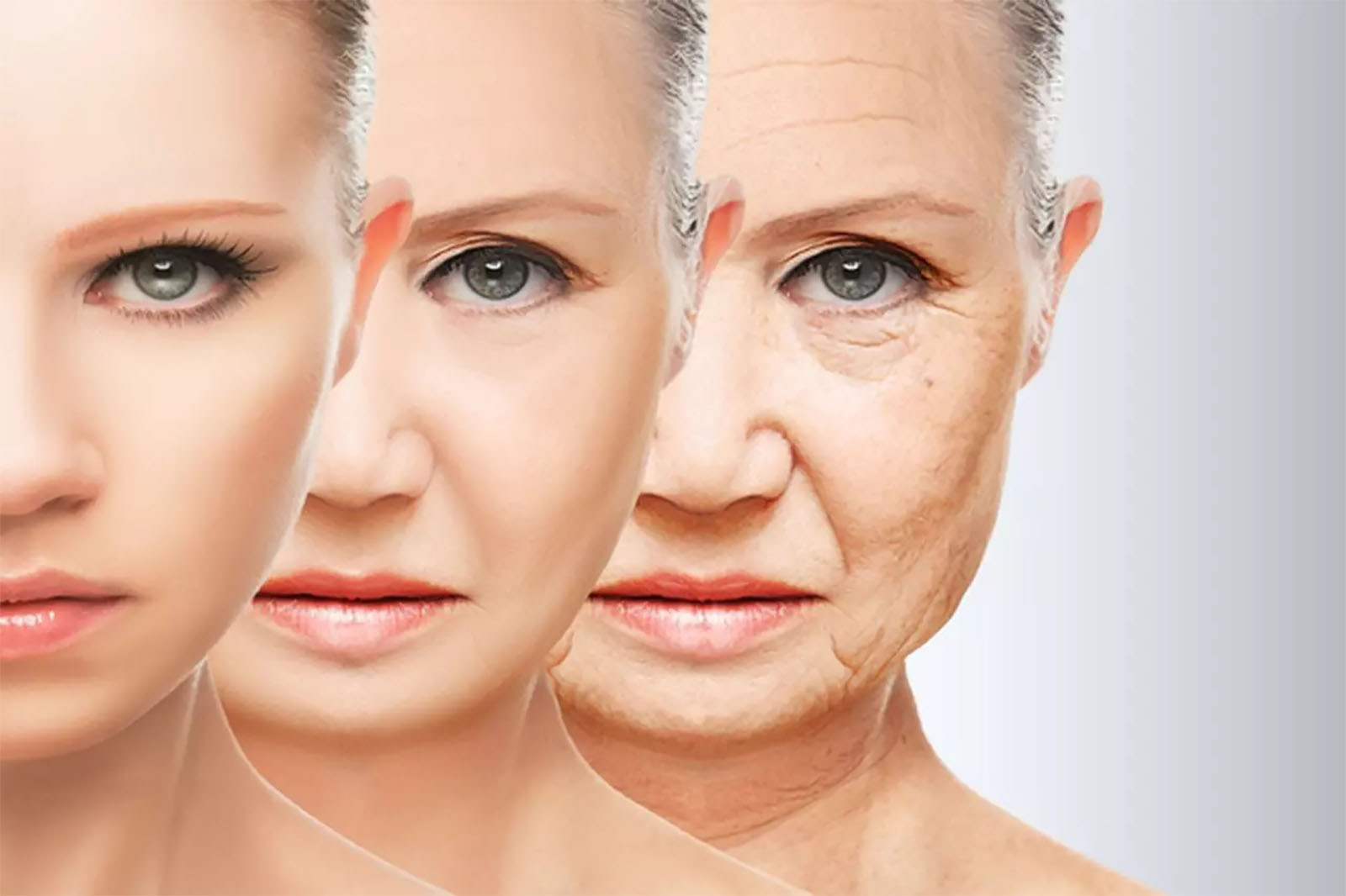 عملية الشيخوخة هي حقيقة بيولوجية لها طريقتها المعينة في الحدوث خارج نطاق التحكم البشري (تواصل اجتماعي)