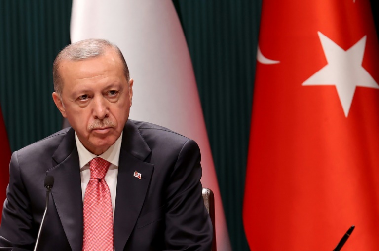 الرئيس التركي رجب طيب اردوغان في 24 تشرين الثاني/نوفمبر 2021(ا ف ب)