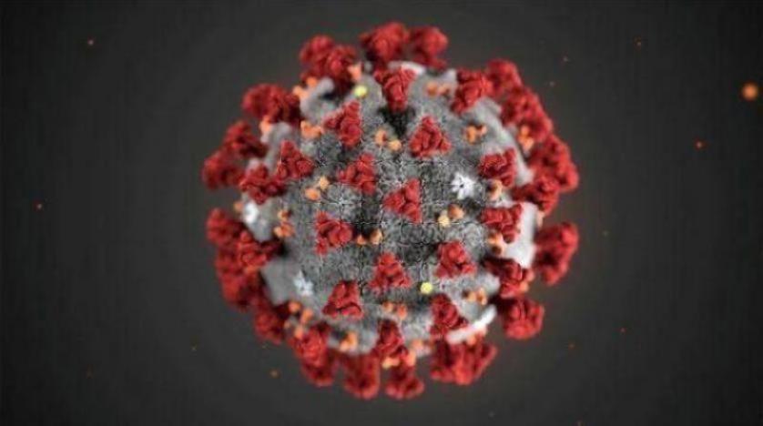 صورة توضيحية لفيروس كورونا تظهر الشكل التاجي للفيروس (المراكز الأميركية لمكافحة الأمراض والوقاية منها)