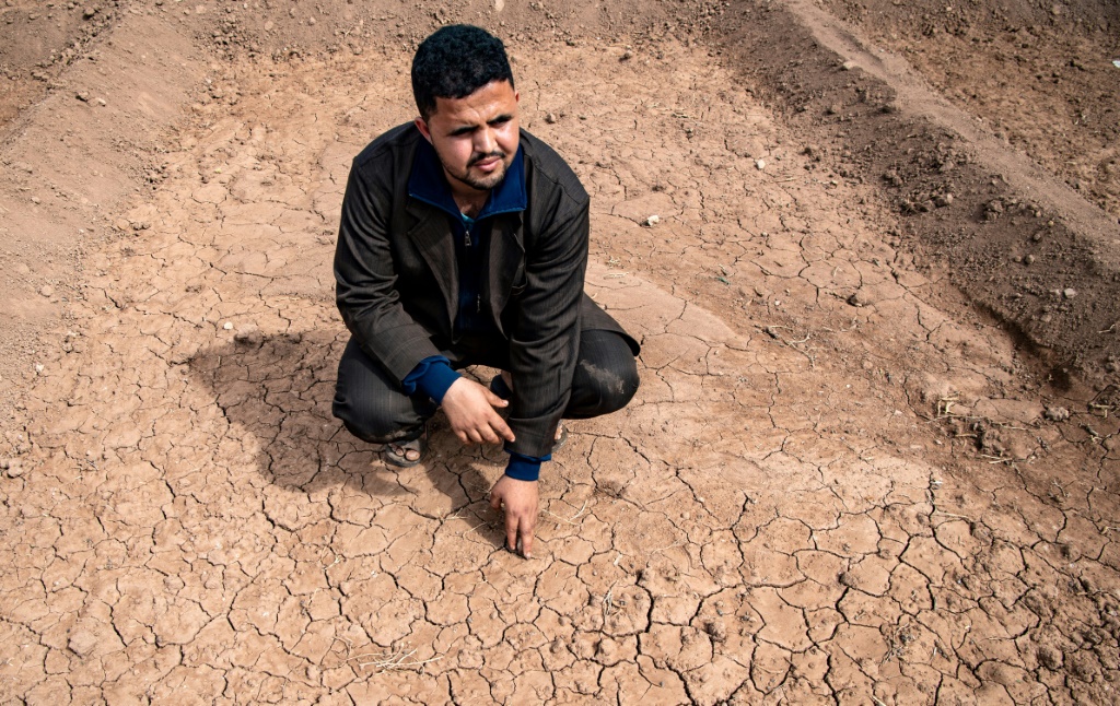 وحيد أغورتيت ، فلاح ، يلامس الأرض التي تشققها الجفاف في أكتوبر 2020 ، في بستان برتقال في سهول أغادير الجنوبية بالمغرب (أ ف ب)
