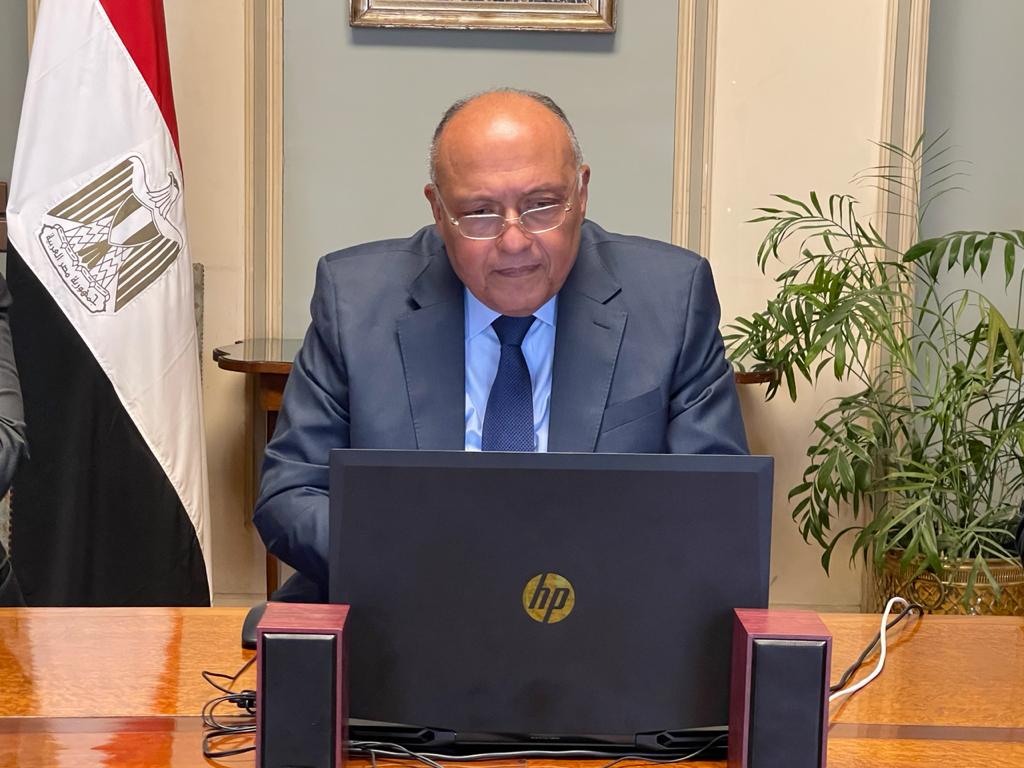 وزير الخارجية المصري سامح شكري (وكالة أنباء الشرق الأوسط)