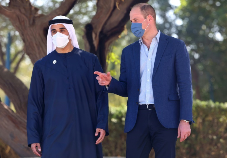 الأمير ويليام في زيارة إلى منتزه "قرم الجبيل" في أبو ظبي (ا ف ب)