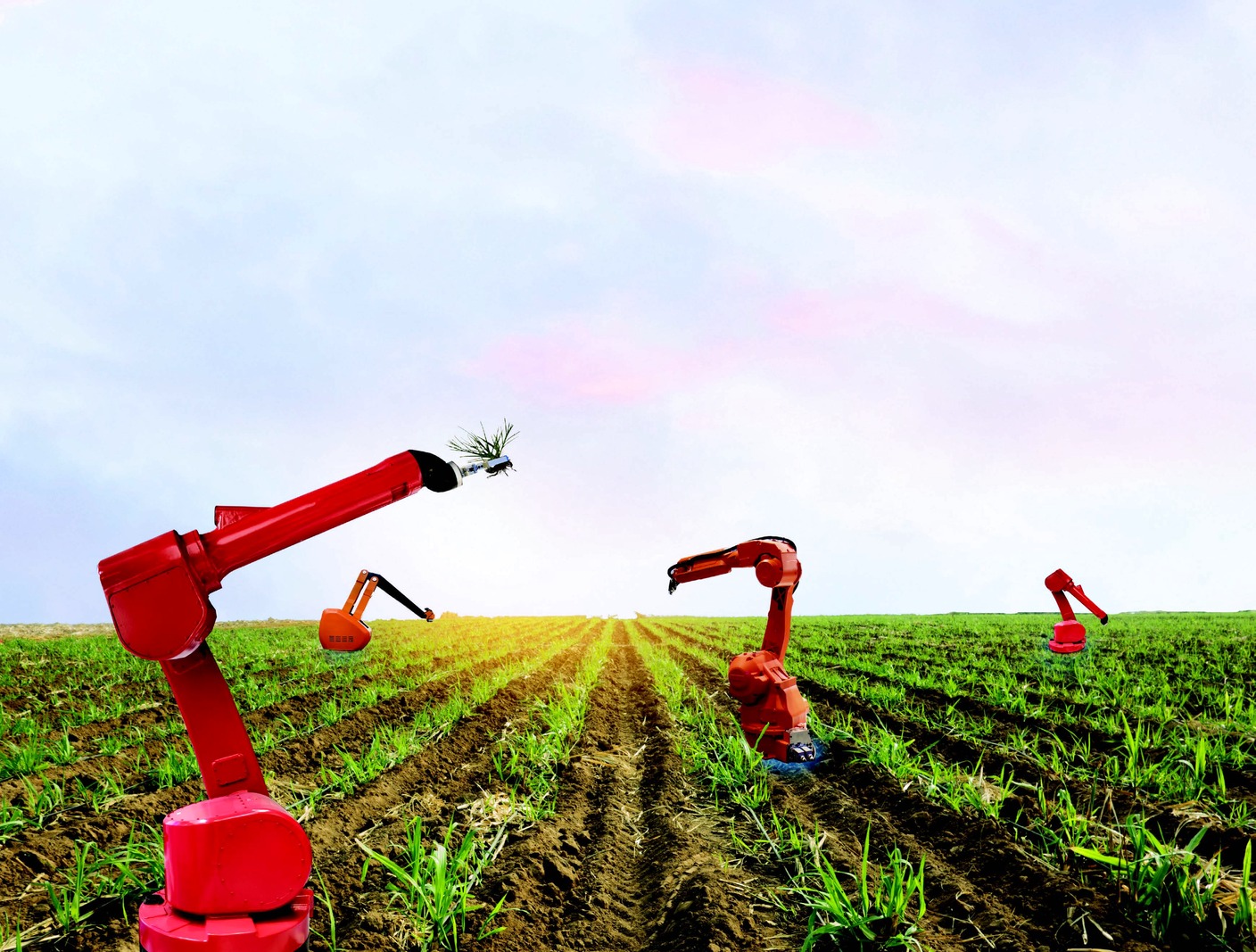 تتميز الزراعة الذكية باستخدام التكنولوجيا لتخطيط وإدارة المحاصيل بشكل أفضل (تواصل اجتماعي)