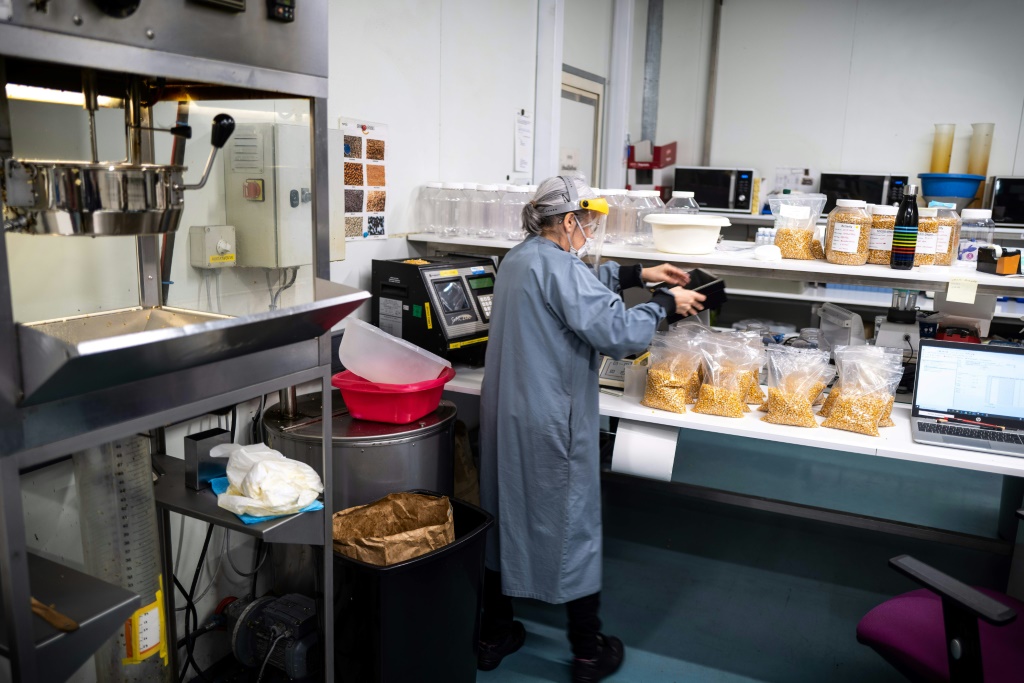 صورة تظهر موظفة في مصنع "ناتايس" لذرة الفشار في بيزيريل جنوب غرب فرنسا في الأول من شباط/فبراير 2022 (أ ف ب)