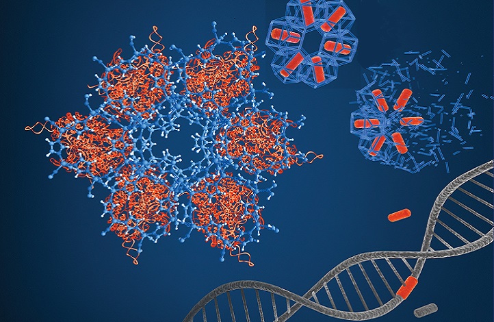 غلاف نانوي يتيح التوصيل الفعال لآلية "كريسبر-كاس9" (CRISPR-Cas9) إلى داخل الخلية (كاوست)
