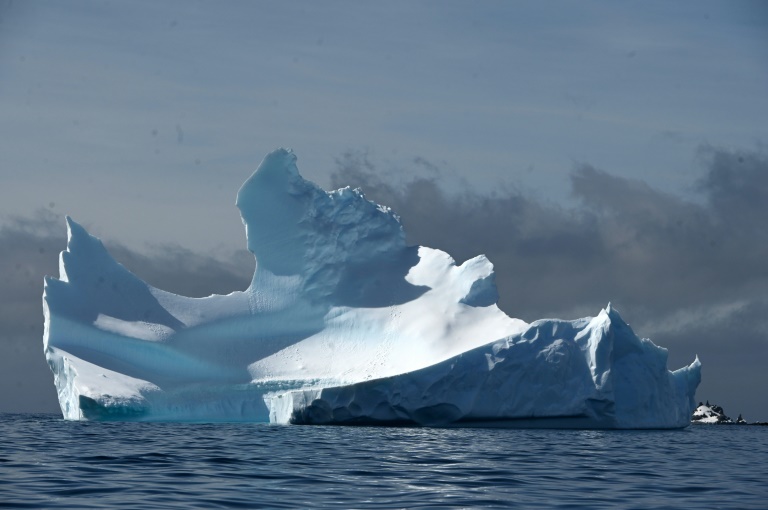 جبل جليدي على جزيرة هاف مون في القطب الجنوبي في التاسع من تشرين الثاني/نوفمبر 2019 (ا ف ب)