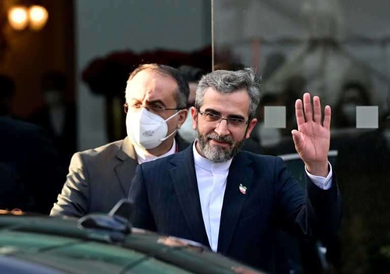 كبير المفاوضين الإيرانيين علي باقري في صورة مؤرخة الثالث من كانون الأول/ديسمبر 2021 في فيينا (آ ف ب).