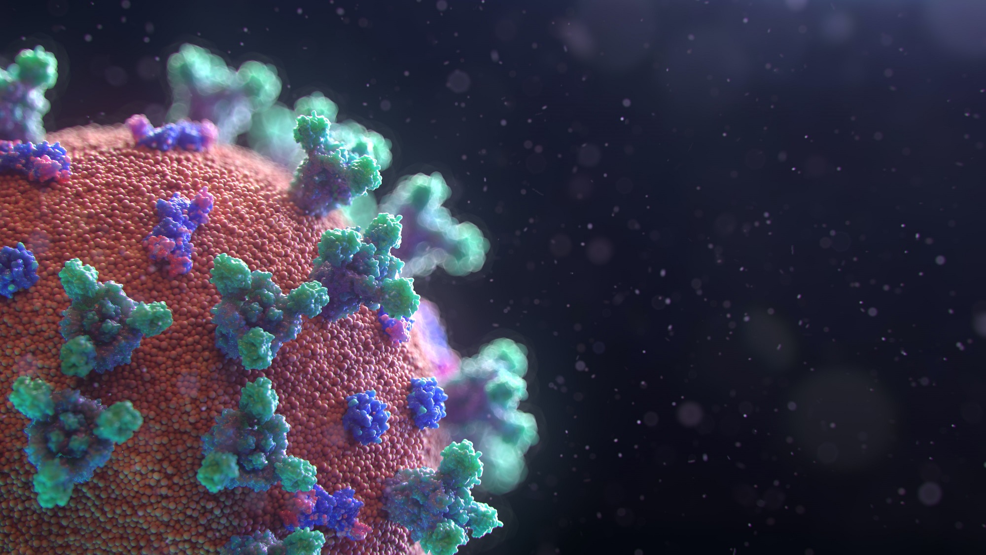 تسبب فيروس «كورونا» المتحور المعروف على نطاق واسع باسم «أوميكرون الخفي» في حدوث أكثر من ثلث حالات الأوميكرون الجديدة حول العالم (أونسبلاش)