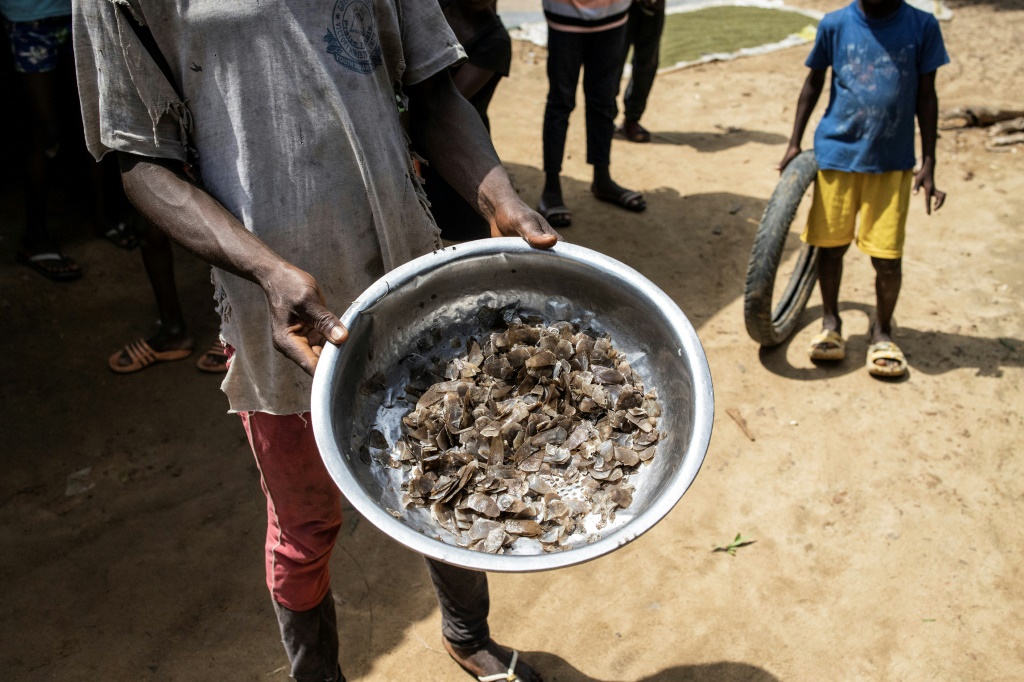 قشور أكلي النمل الحرشفي تُباع قرب بوبولو في ليبيريا في 14 تشرين الثاني/نوفمبر 2022(ا ف ب)
