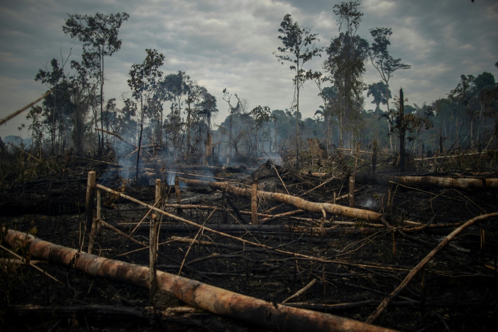 محروق: غابة مطيرة في الأمازون بالقرب من مدينة بورتو فيلهو البرازيلية ، التقطت في سبتمبر الماضي (أ ف ب)   