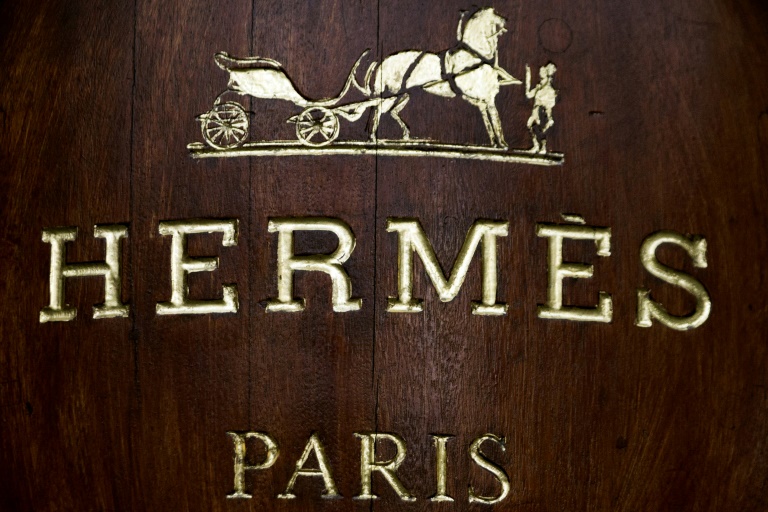  شعار "ايرميس" في 26 كانون الأول/ديسمبر 2012 (ا ف ب)