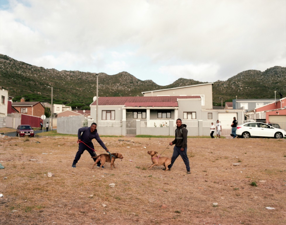    رجلان مع كلبيهما في أوشن فيو بجنوب إفريقيا في 3 شباط/فبراير 2022 (أ ف ب)   