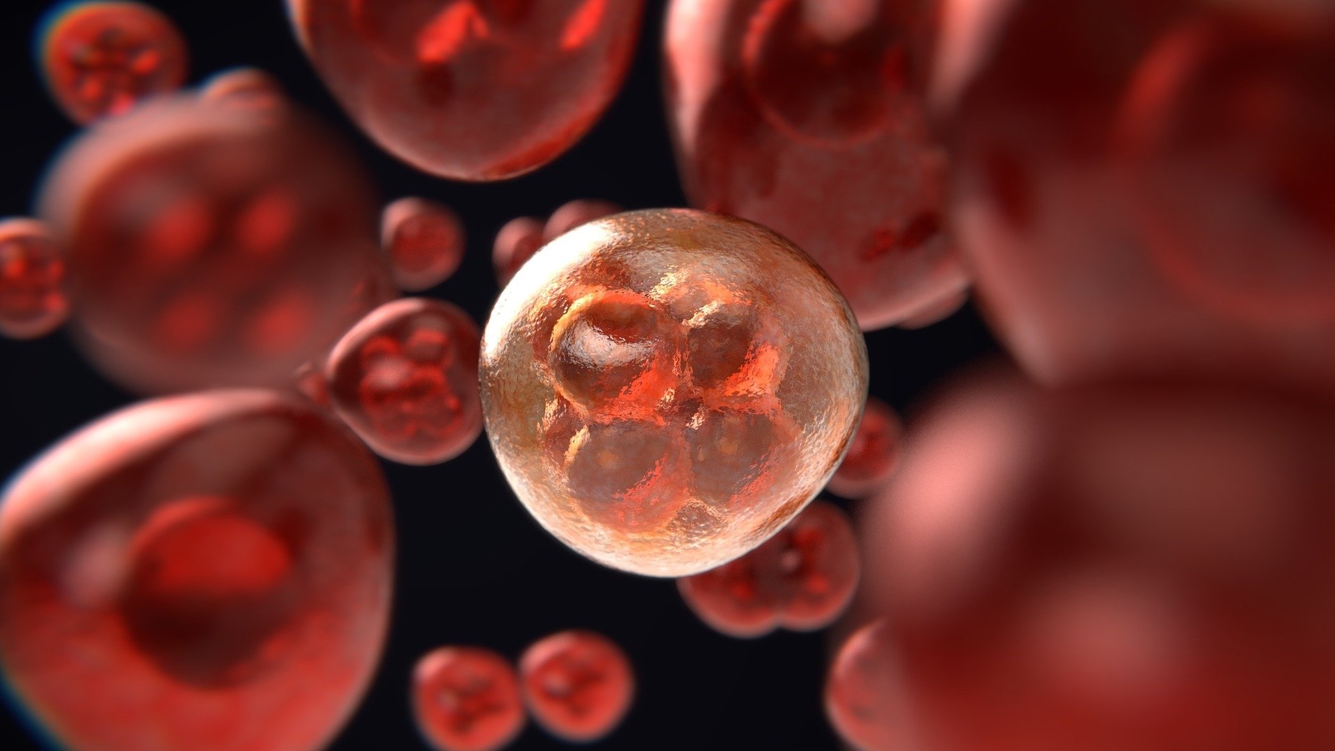 تعتمد الفكرة على تحفيز الجهاز المناعي على مكافحة السرطان عن طريق جزيئات خاصة من الحمض النووي (بيكساباي)