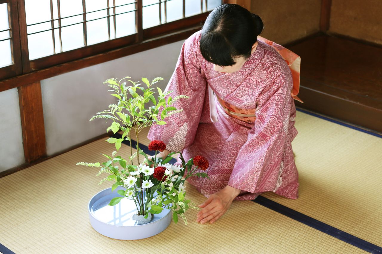 عمل تنسيق أزهار ياباني في أصيص واسع (حقوق الصورة لبيكستا).