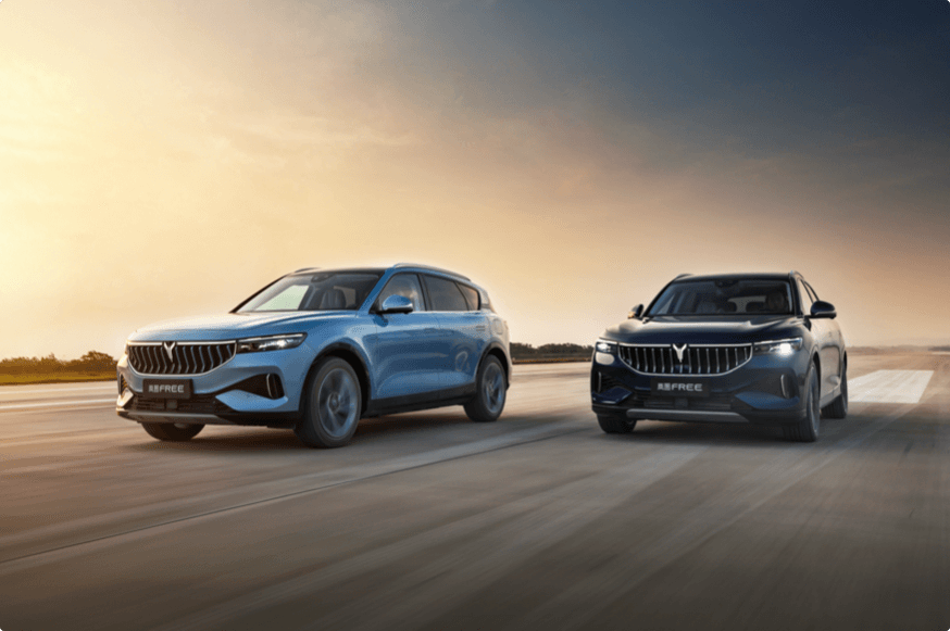 (موقع الشركة )