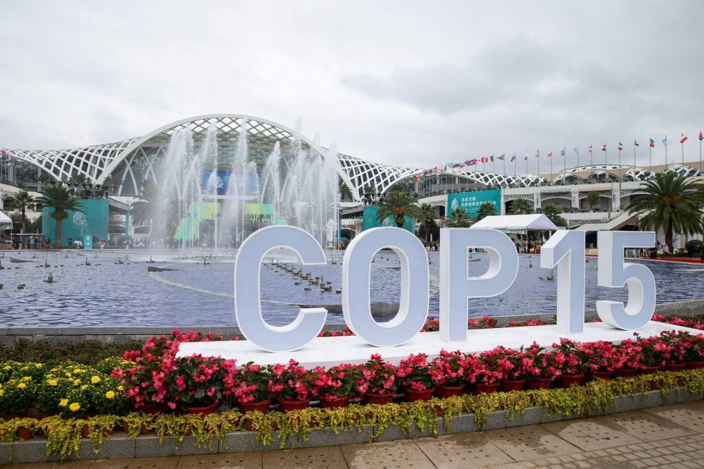 مكان انعقاد مؤتمر الأمم المتحدة للتنوع البيولوجي "كوب15" في مدينة كونمينغ بمقاطعة يونان جنوب غرب الصين في 11 تشرين الأول/أكتوبر 2021 (أ ف ب)