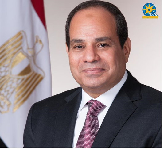 الرئيس المصري عبد الفتاح السيسي (أ. ش .أ)