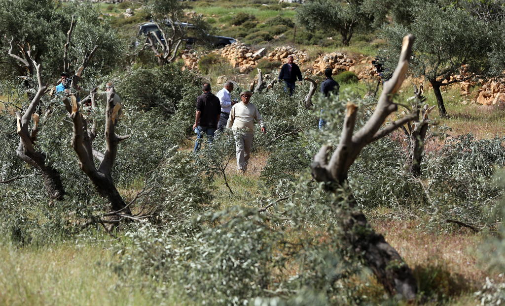 صورة ارشفية (وفا)