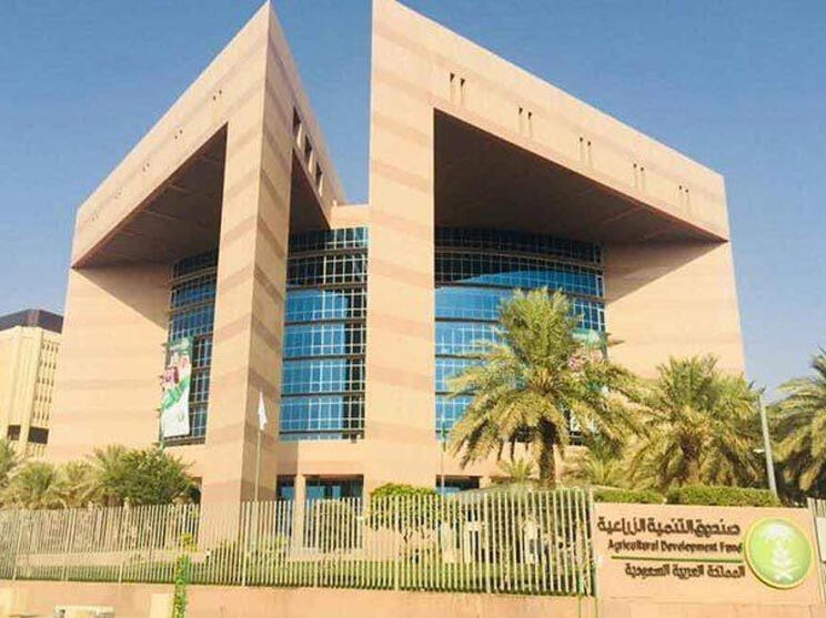 صندوق التنمية الزراعية السعودي يعتمد قروضا بنحو 434 مليون ريال(واس)