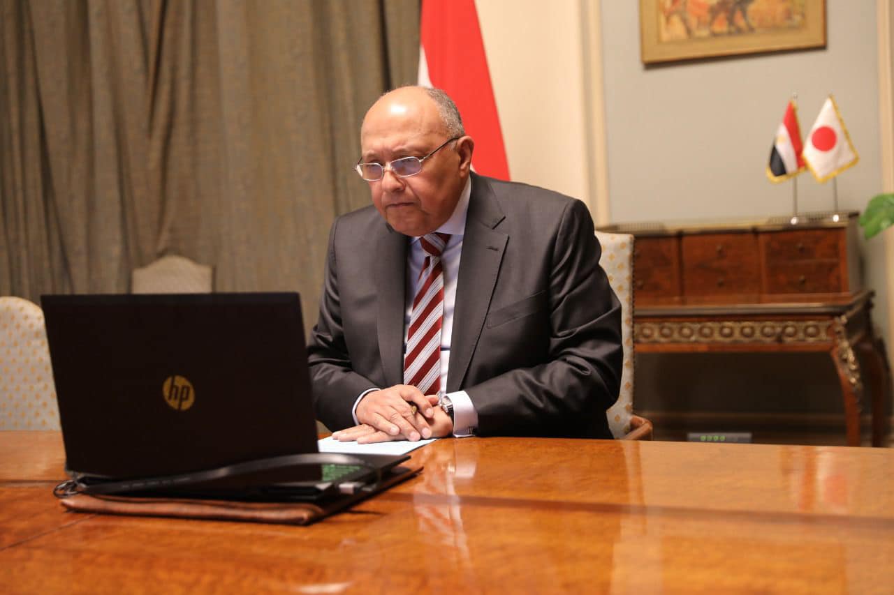 سامح شكري وزير الخارجية المصري (وزارة الخارجية المصرية في بوك )