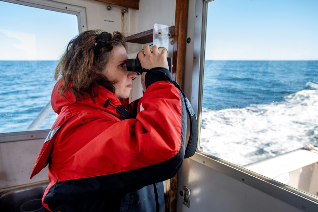 تستخدم عالمة الأحياء البحرية كريستي هوداك ، 46 عامًا ، مناظير للبحث عن الحيتان في الرحلة الاستكشافية مع مركز الدراسات الساحلية (تصريح NOAA 25740-01) في خليج كيب كود (أ ف ب)